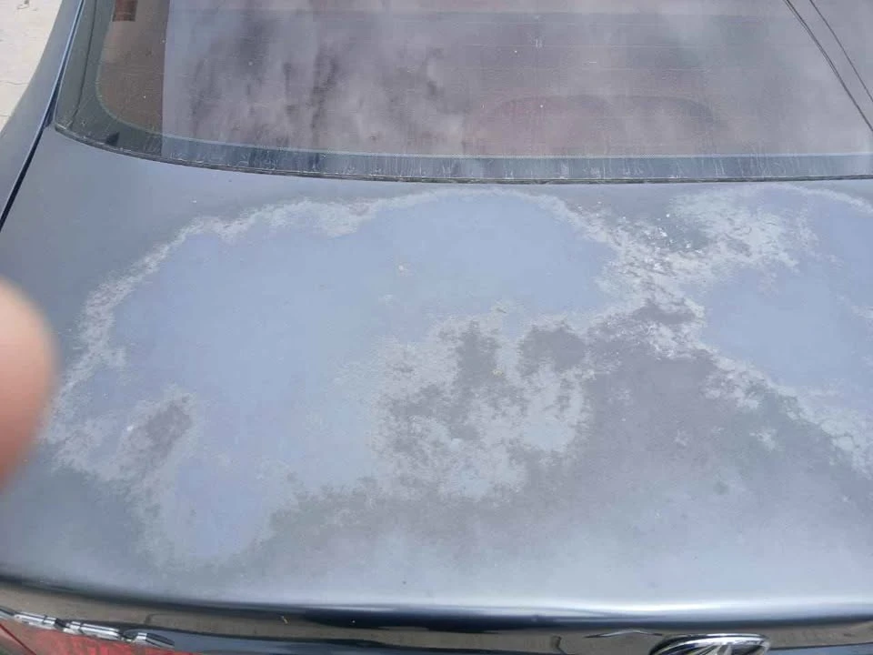 2004 Acura TSX 1st Gen - Image 7 of 14
