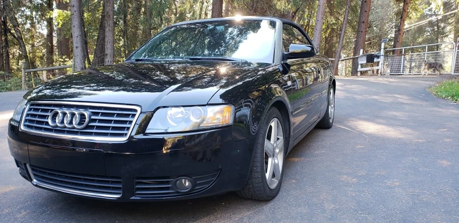 2004 Audi B6 A4 - Image 6 of 7