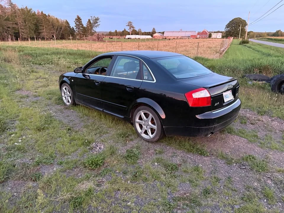 2004 Audi B6 A4 - Image 3 of 14