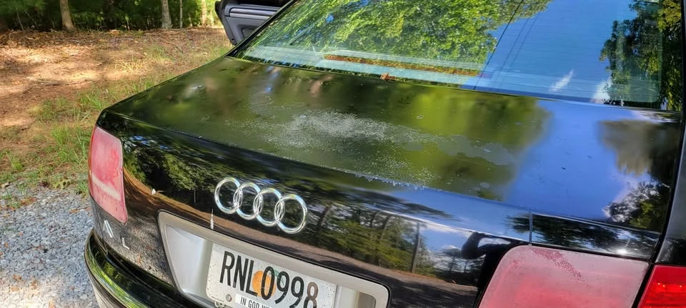2004 Audi D3 A8 - Image 12 of 19