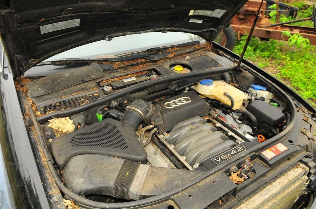 2004 Audi Allroad - Image 14 of 21