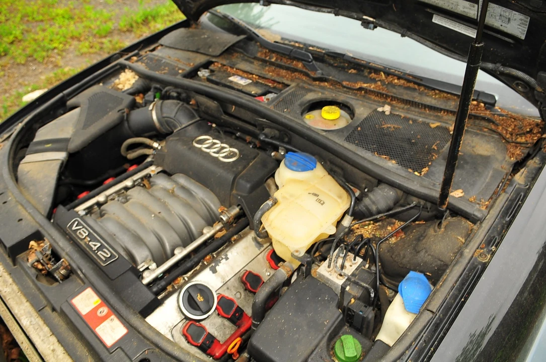 2004 Audi Allroad - Image 13 of 21
