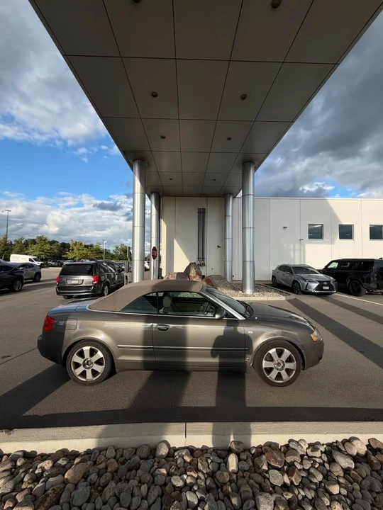2004 Audi Coupe & Cabriolet - Image 4 of 9
