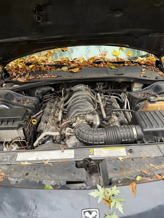 2004 Audi D3 A8 - Image 8 of 8
