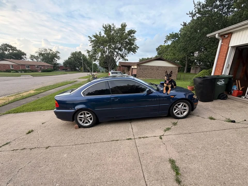 2004 BMW E46 3 Series - Image 3 of 6
