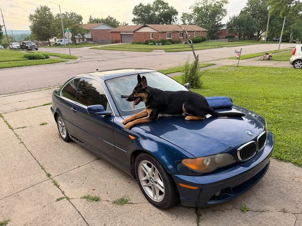 2004 BMW E46 3 Series - Image 2 of 6