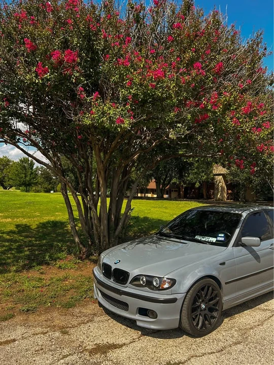 2004 BMW E46 3 Series - Image 3 of 6