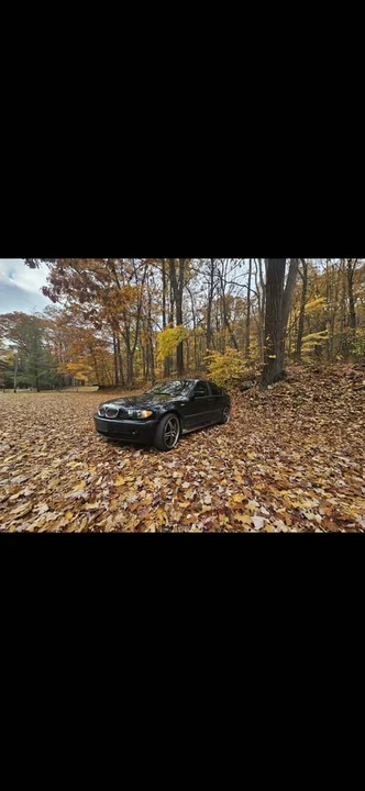 2004 BMW E46 3 Series - Image 4 of 4