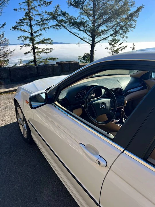 2004 BMW E46 330i & 330Ci - Image 8 of 21