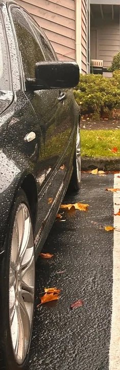2004 BMW E46 330i & 330Ci - Image 8 of 10