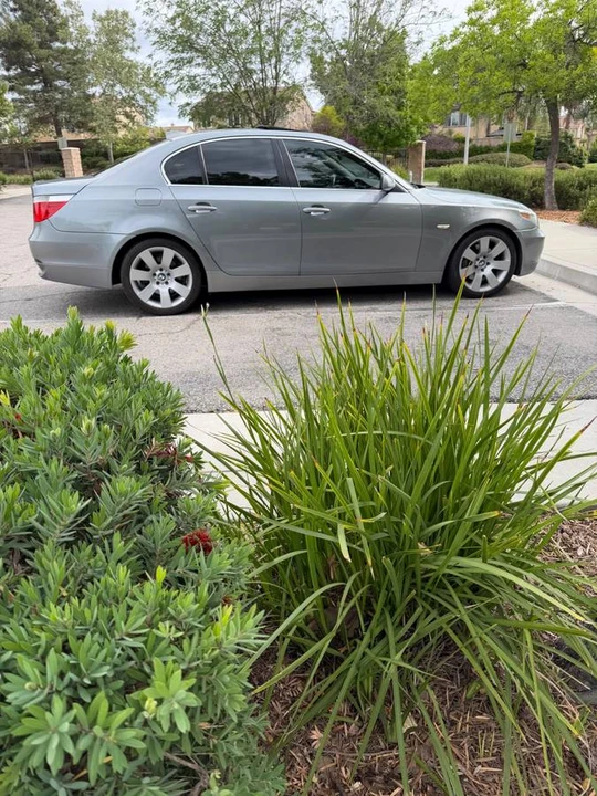2004 BMW E60 5 Series Sedan - Image 2 of 12