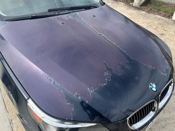 2004 BMW E60 545i & 550i Sedan - Image 5 of 16
