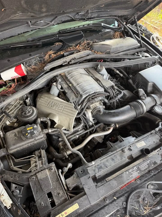 2004 BMW E63/E64 645Ci & 650i - Image 5 of 6
