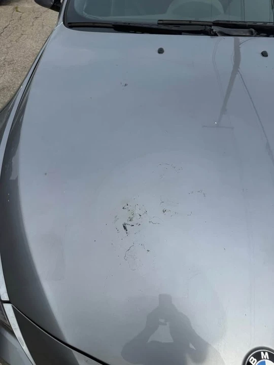 2004 BMW E63/E64 645Ci & 650i - Image 9 of 9