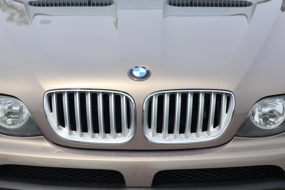 2004 BMW E53 X5 - Image 20 of 31