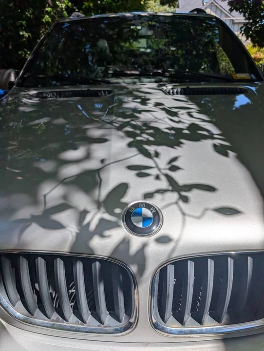 2004 BMW E53 X5 - Image 11 of 12