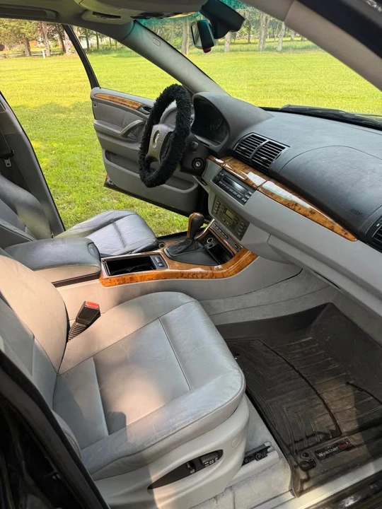 2004 BMW E53 X5 - Image 16 of 18
