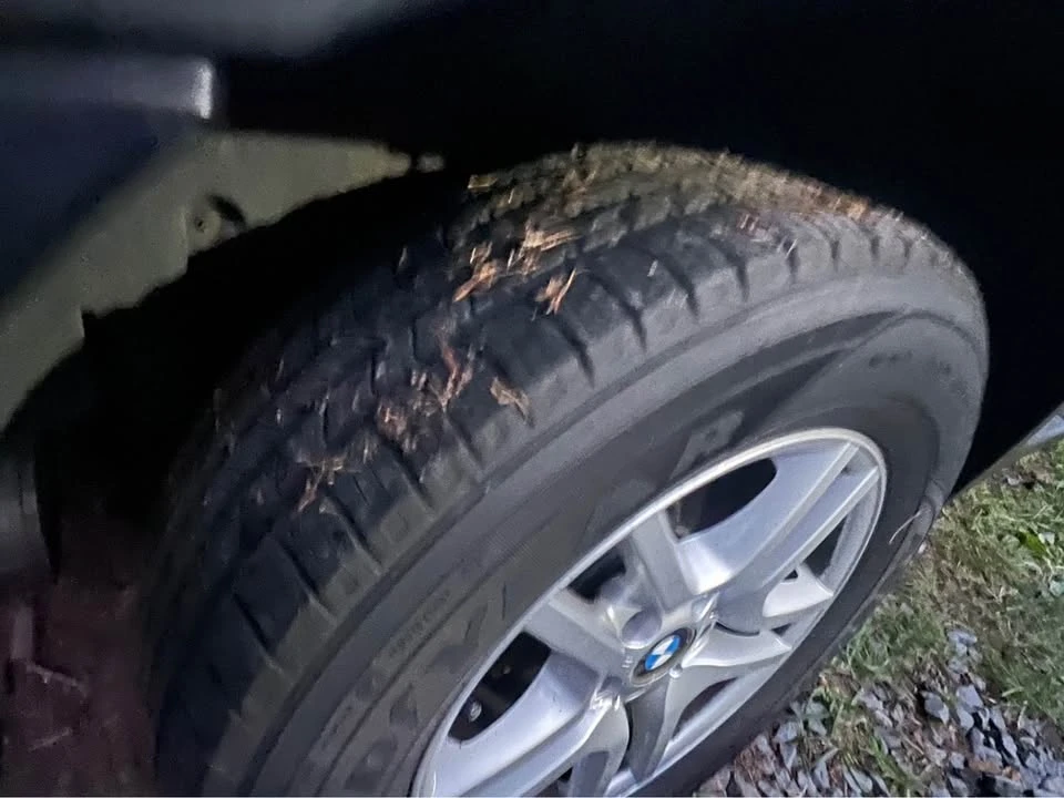 2004 BMW E53 X5 - Image 12 of 13