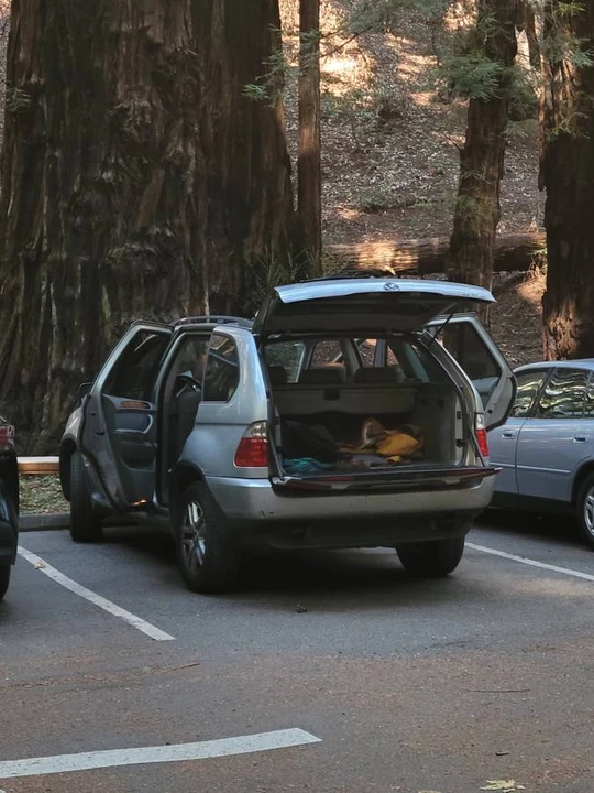 2004 BMW E53 X5 - Image 10 of 24