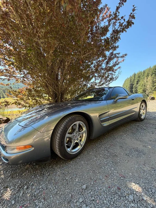 2004 Chevrolet Corvette C5 - Image 8 of 8