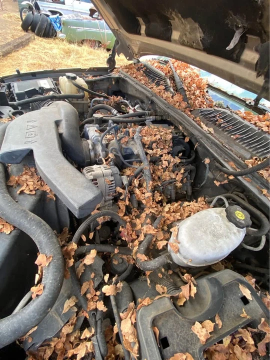2004 Cadillac Escalade & EXT 2nd Gen - Image 4 of 10