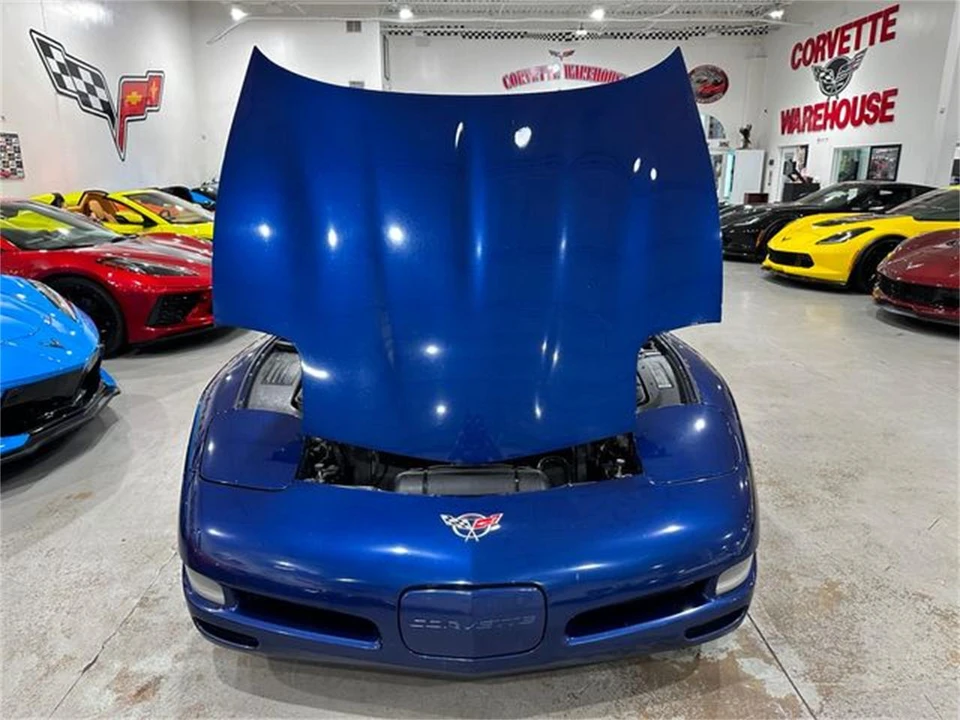 2004 Chevrolet Corvette C5 - Image 19 of 30