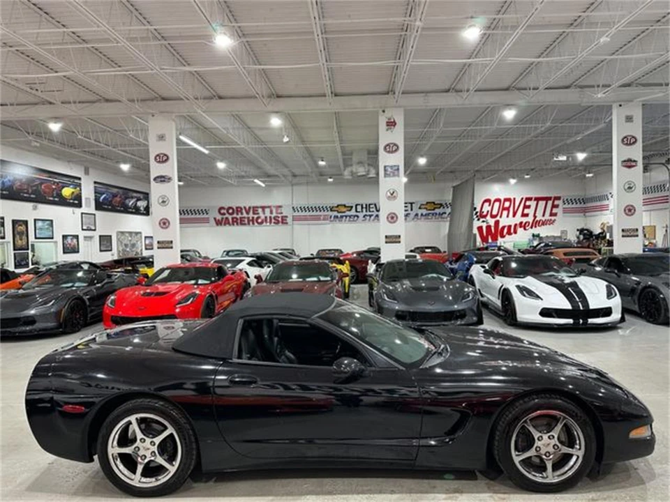 2004 Chevrolet Corvette C5 - Image 5 of 10