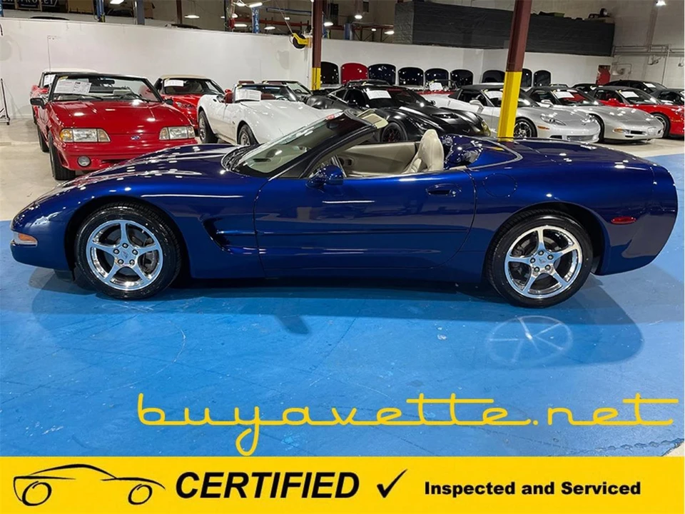 2004 Chevrolet Corvette C5 - Image 8 of 30