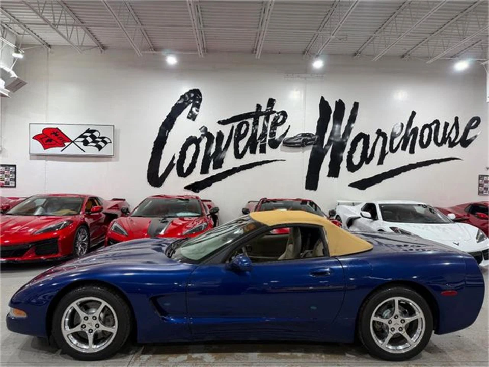 2004 Chevrolet Corvette C5 - Image 2 of 10