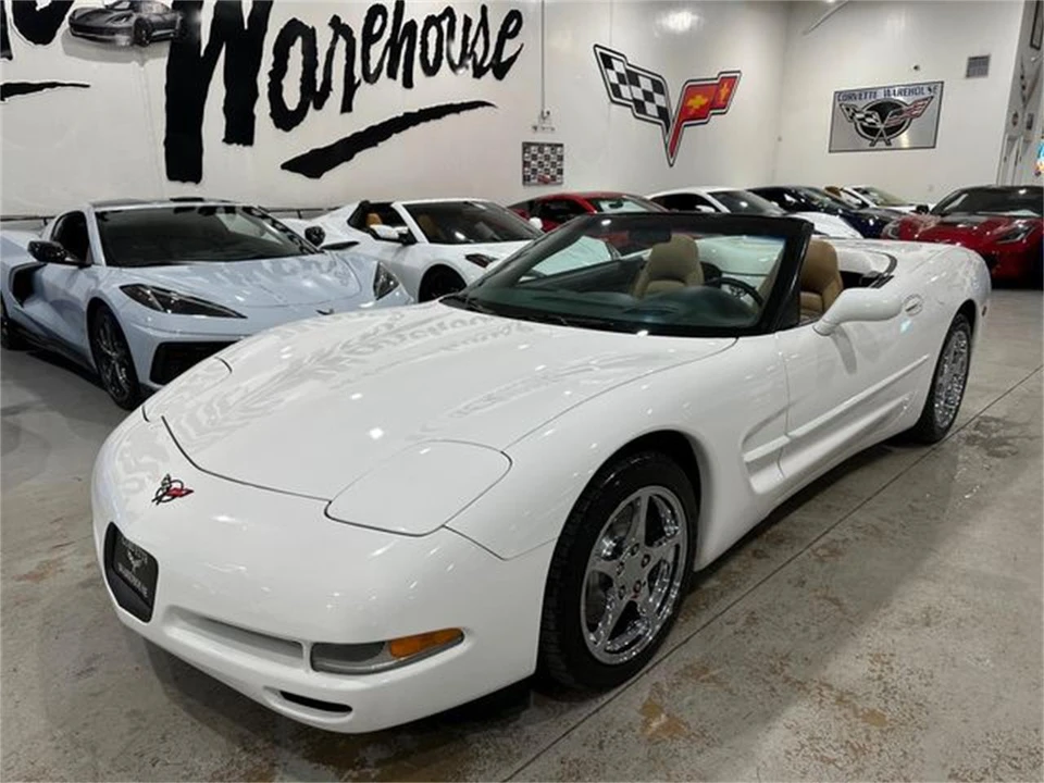 2004 Chevrolet Corvette C5 - Image 17 of 30
