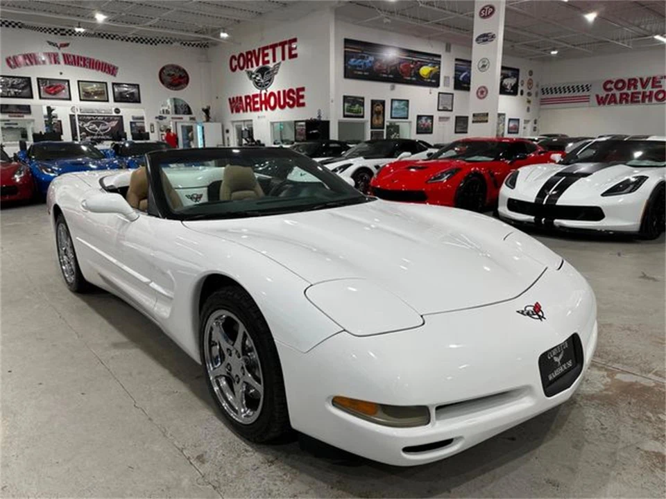 2004 Chevrolet Corvette C5 - Image 19 of 30