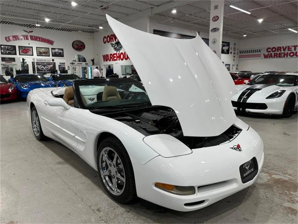 2004 Chevrolet Corvette C5 - Image 30 of 30