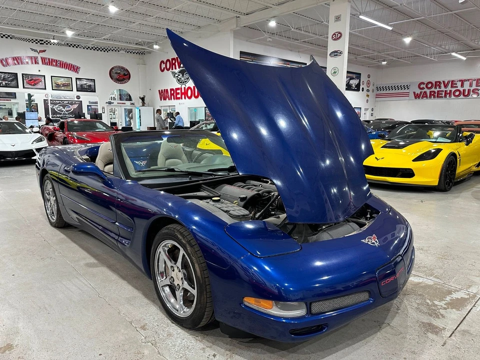 2004 Chevrolet Corvette C5 - Image 19 of 21