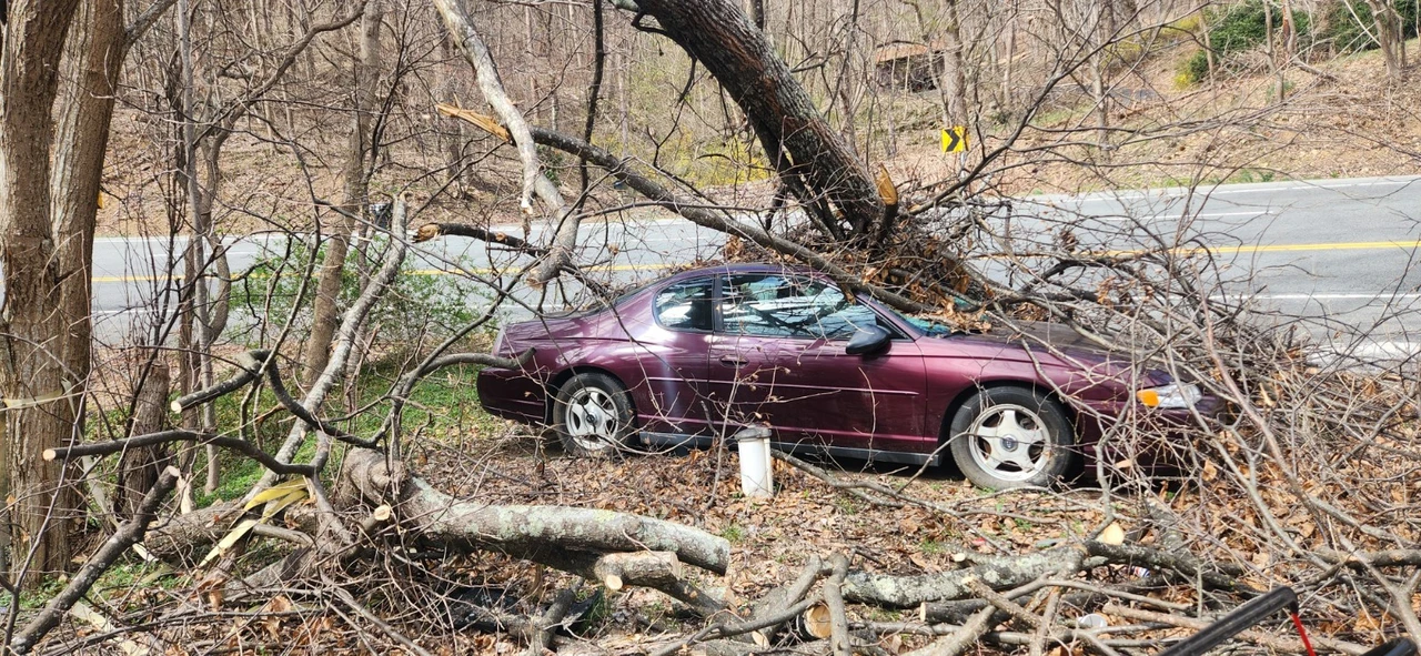 2004 Chevrolet Monte Carlo 6th Gen - Image 14 of 15