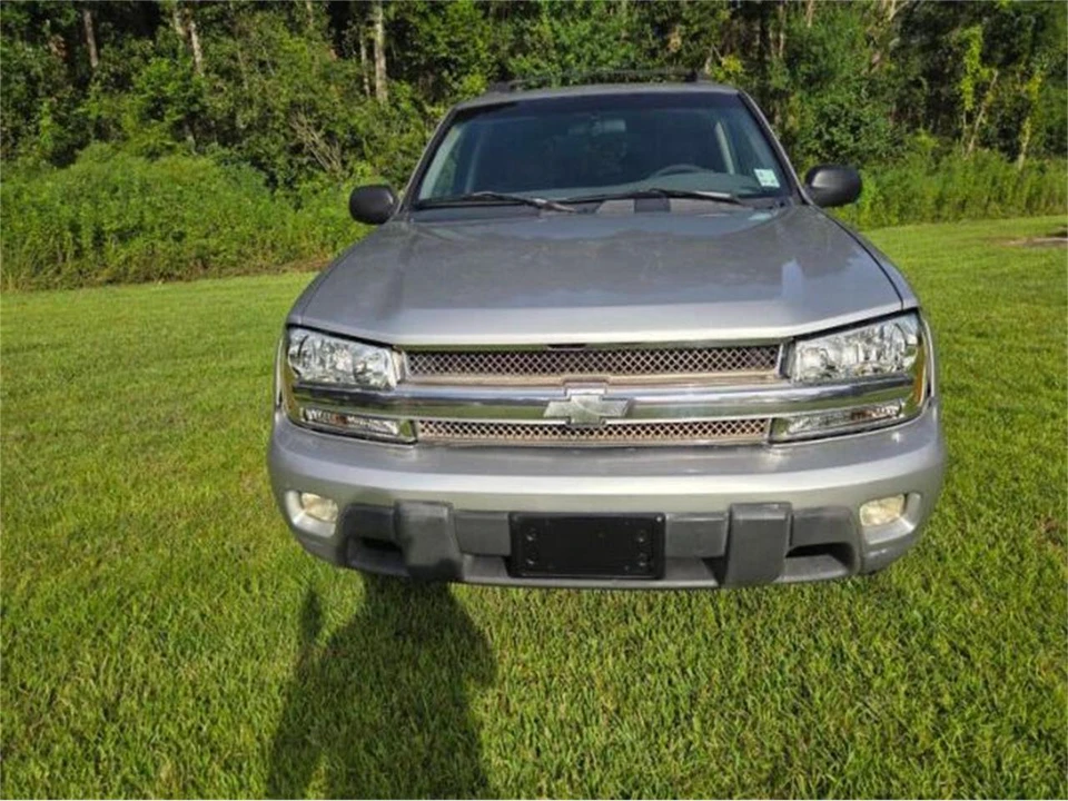 2004 Chevrolet Trailblazer - Image 12 of 13