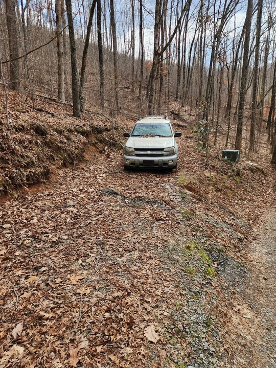 2004 Chevrolet Trailblazer - Image 6 of 12