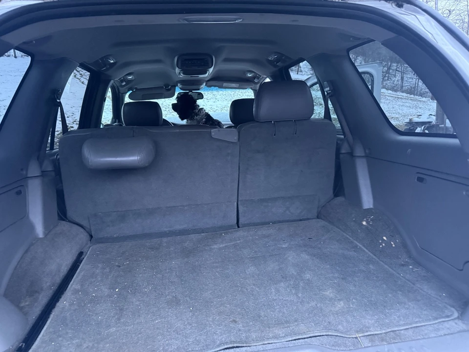 2004 Chevrolet Trailblazer - Image 9 of 12