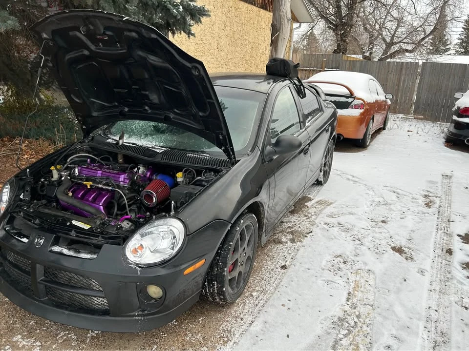 2004 Dodge Neon SRT-4 - Image 6 of 7