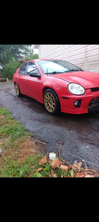 2004 Dodge Neon SRT-4 - Image 2 of 6