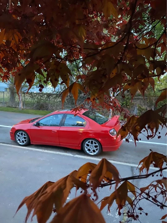 2004 Dodge Neon SRT-4 - Image 9 of 10
