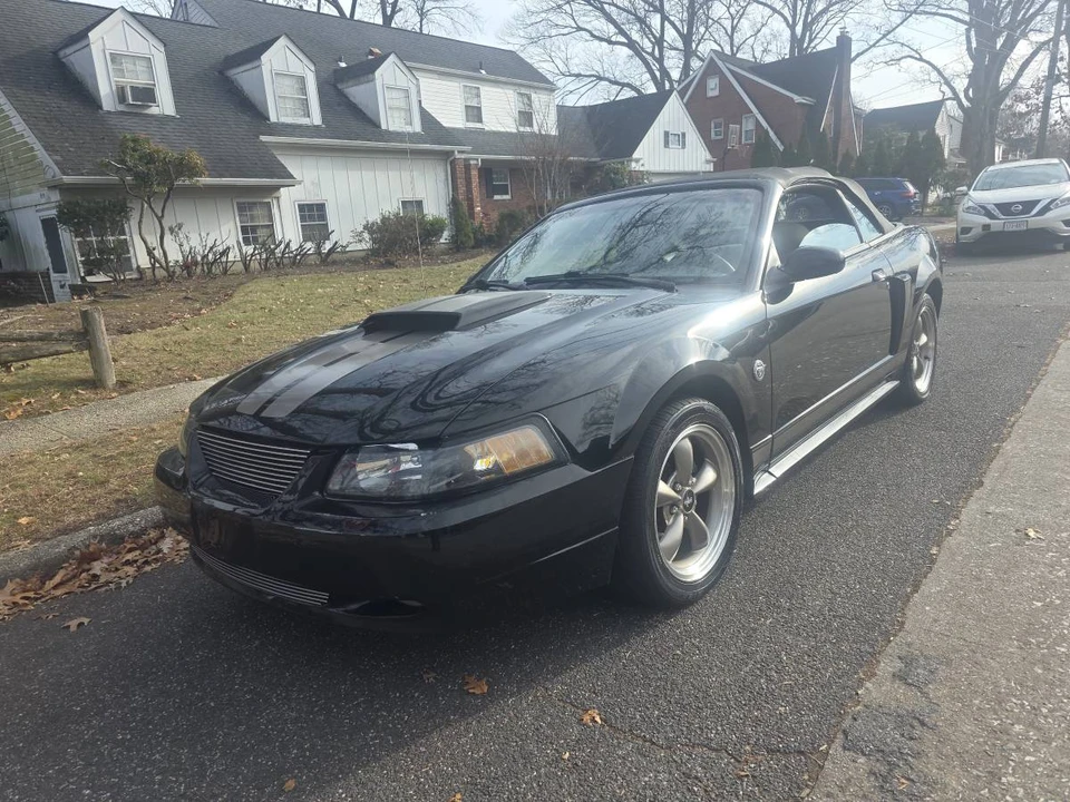 2004 Ford SN95 Mustang - Image 3 of 16