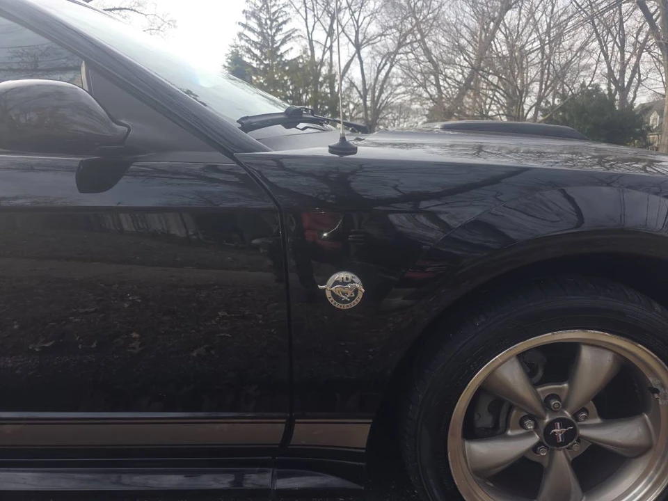 2004 Ford SN95 Mustang - Image 8 of 16