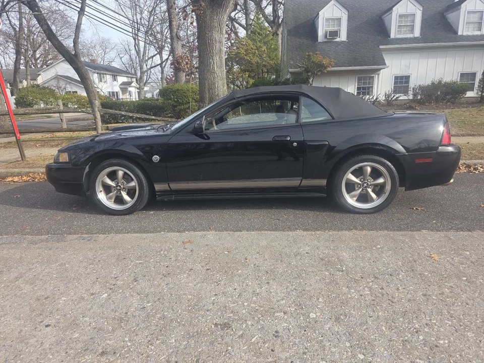 2004 Ford SN95 Mustang - Image 11 of 16