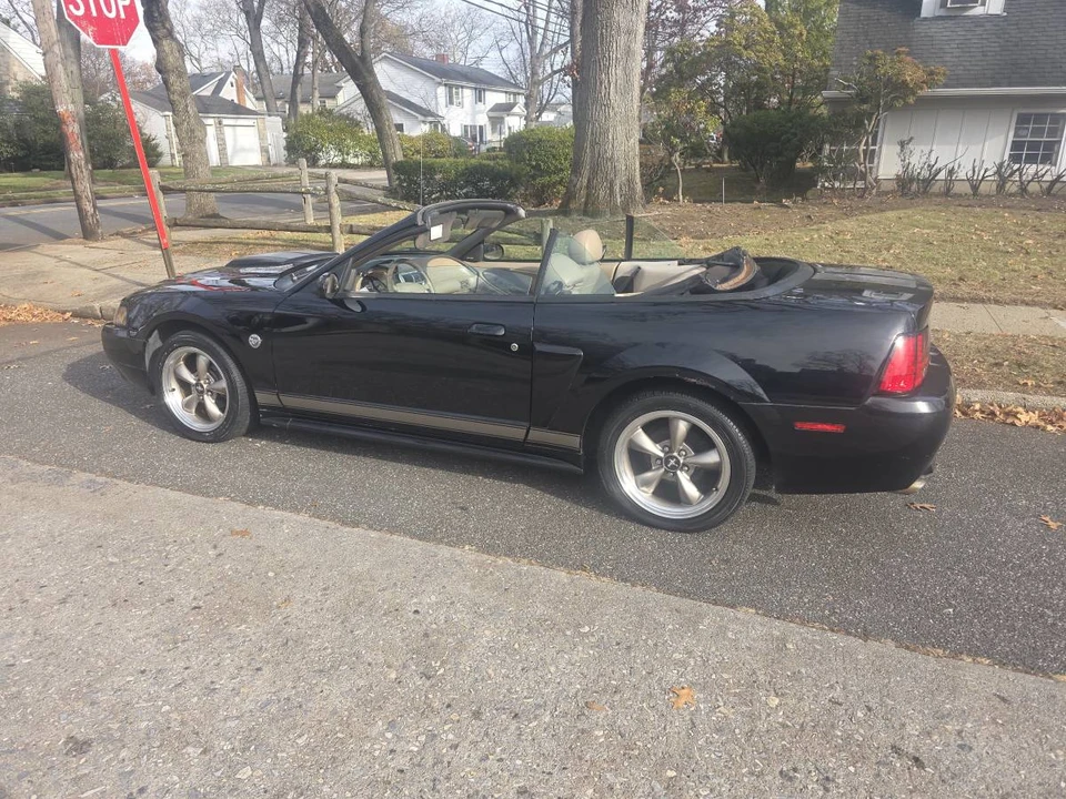 2004 Ford SN95 Mustang - Image 4 of 16