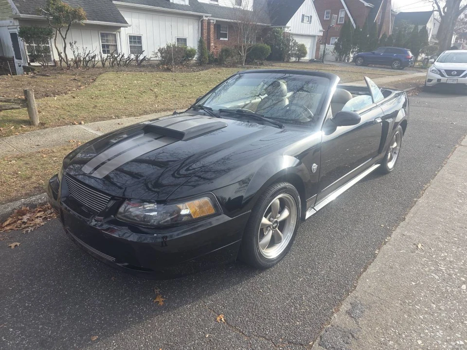 2004 Ford SN95 Mustang - Image 15 of 16