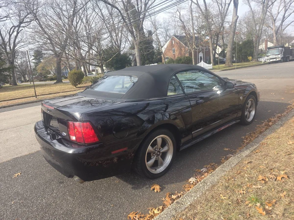 2004 Ford SN95 Mustang - Image 6 of 16