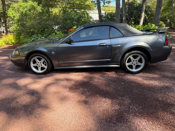 2004 Ford SN95 Mustang - Image 7 of 21