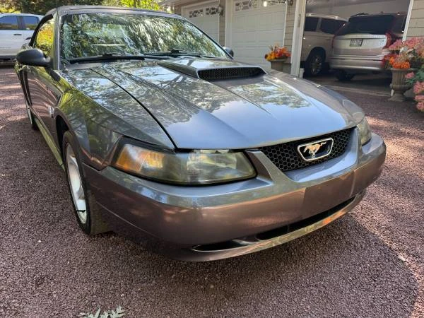 2004 Ford SN95 Mustang - Image 2 of 21