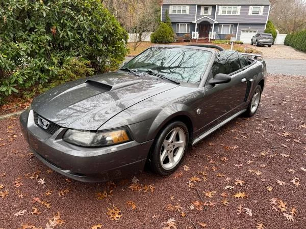 2004 Ford SN95 Mustang - Image 8 of 21