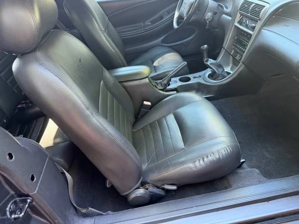2004 Ford SN95 Mustang - Image 16 of 21